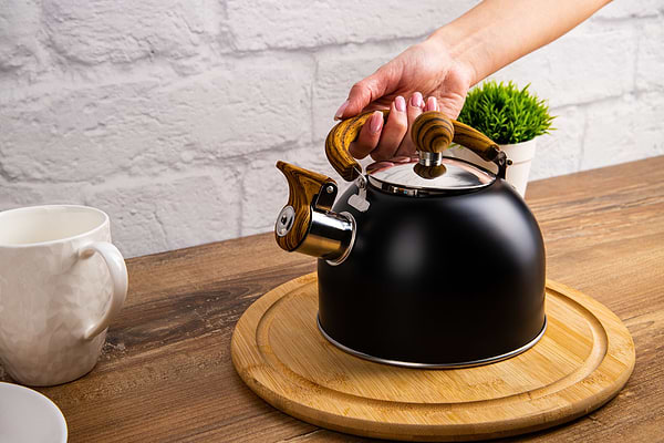 Фото - Чайник металлический Gusto Граф со свистком 1.5 л (GT-1416-15)