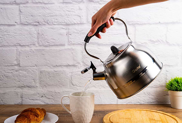 Фото - Чайник металлический Gusto GT-1424-25 Виконт со свистком 2.5 л