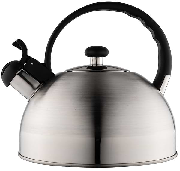 Фото - Чайник металлический WMF 651016030 ORBIT 1,5 л