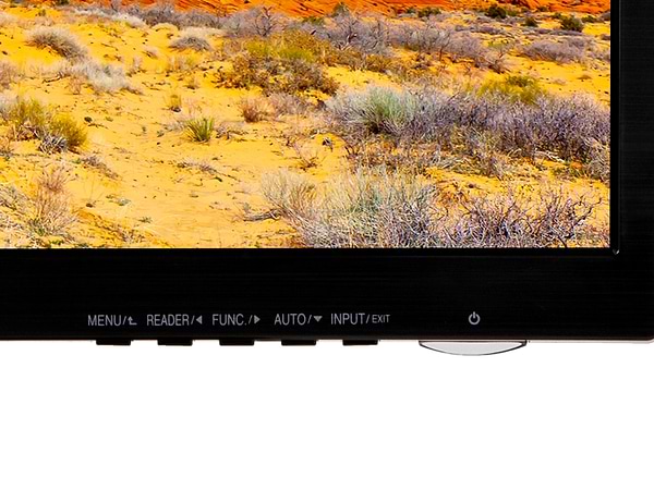 Фото - Монитор LG 19M38A-B