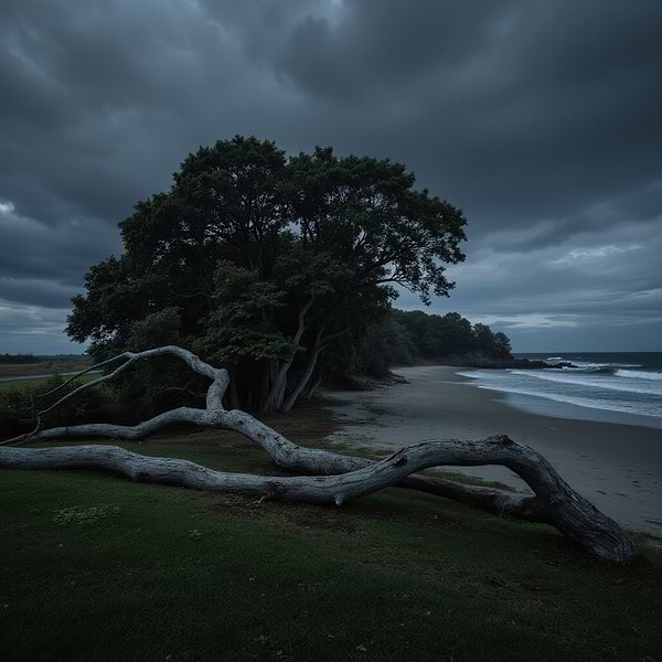 Фото - Свічка скло Yankee Candle Medium Bayside Cedar (Прибережний Кедр) 368 г (1630014E)