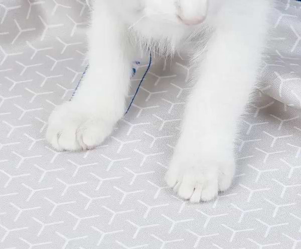 Фото - Змінна підкладка для наповнювача PETKIT High Performance Cat Litter Pad Ultra (P99035)