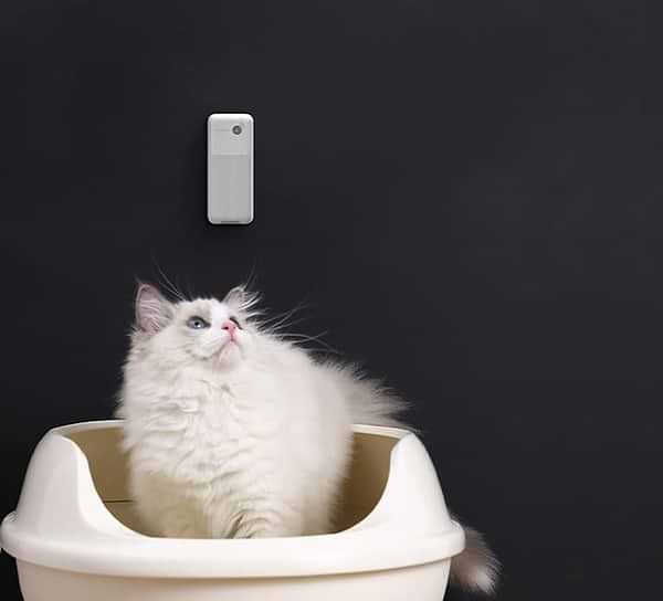 Фото - Нейтралізатор запаху для наповнювача PETKIT Pura Air Smart Spray (P9202)