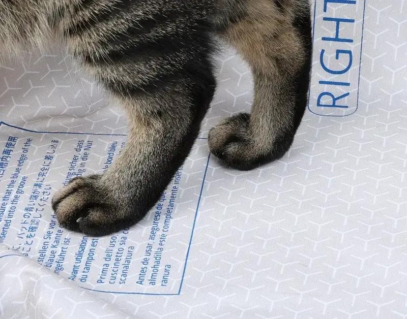 Фото - Змінна підкладка для наповнювача PETKIT High Performance Cat Litter Pad Ultra (P99035)