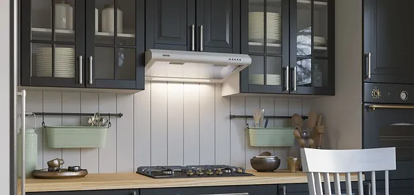 Фото - Витяжка традиційна ELEYUS Line I 60  WH