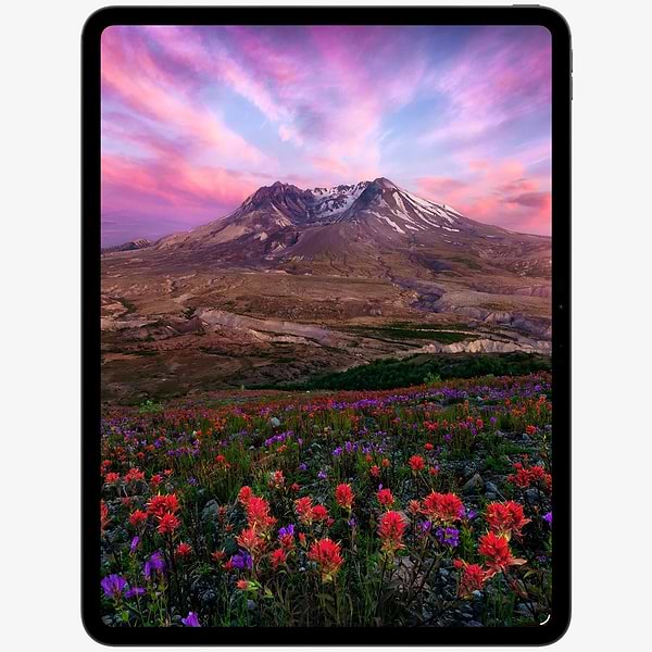 Фото - Планшет Apple iPad Pro 11'' (M5) Cellular 1TB Silver (ME2V4TY/A)