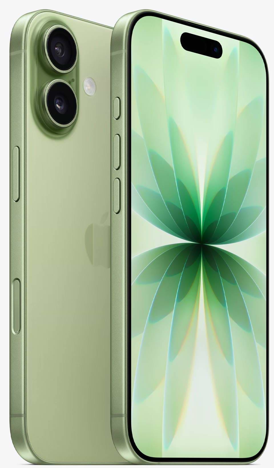 Смартфон Apple iPhone 17 256Gb Sage - Фото 1