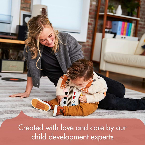 Фото - Аккордион Tiny Love коллекция Rock N Roll (1506906830)