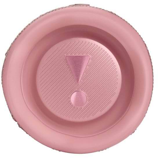 Фото - Портативная акустика JBL Flip 6 Pink (JBLFLIP6PINK)