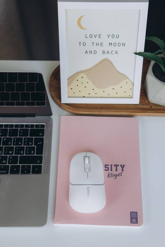 Фото - Миша бездротова Canyon MW-22 Dual Band RGB Wireless Snow White (CNS-CMSW22SW)