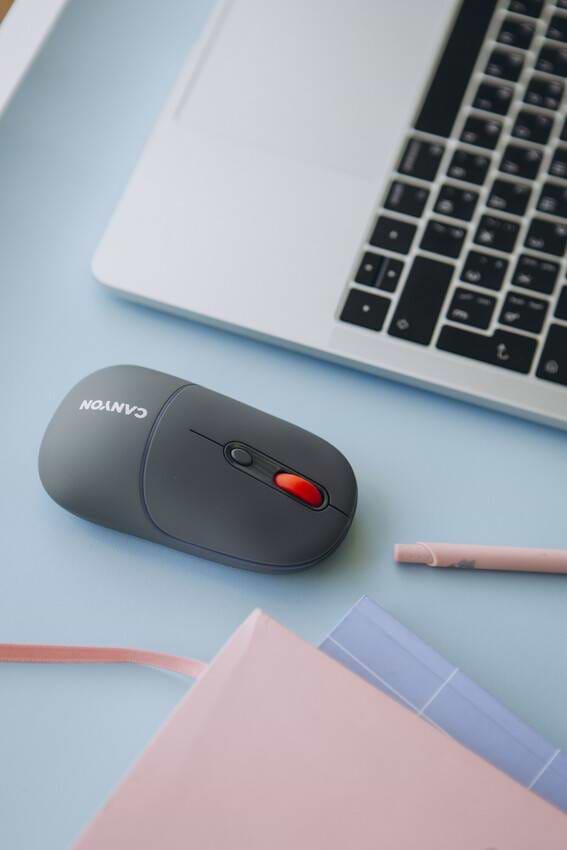 Фото - Миша бездротова Canyon MW-22 Dual Band RGB Wireless Dark Grey (CNS-CMSW22DG)