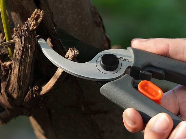 Фото - Секатор JIMIHOME JM-W201