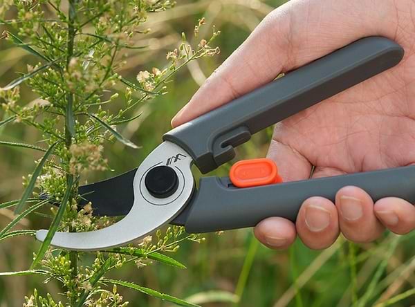 Фото - Секатор JIMIHOME JM-W201