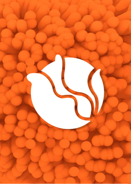 Послуга ''Капуста'' на 18 місяців