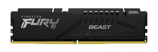 Фото - Память DDR Kingston DDR5  8GB/5600 FURY Beast Black (KF556C40BB-8)