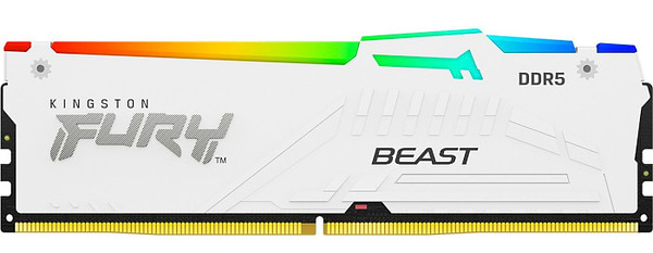 Фото - Память DDR Kingston Fury Beast White RGB 16GB (1x16) DDR5 5600 MHz (KF556C40BWA-16)