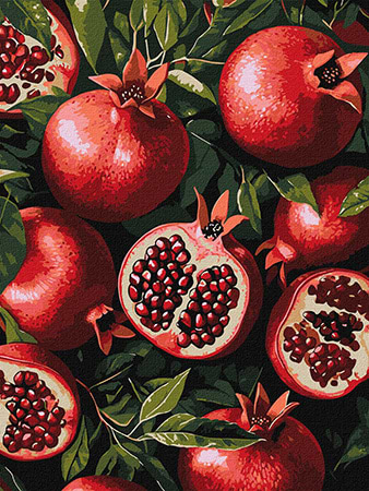 Фото - Картина по номерам Ideyka Гранат в разрезе 30х40 см (KHO5731) Фото - Картина по номерам Ideyka Гранат в разрезе 30х40 см (KHO5731)