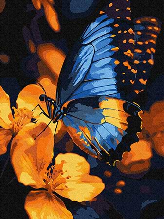 Фото - Картина по номерам Ideyka " Мерцание крыльев" 30х40 см (KHO6731) Фото - Картина по номерам Ideyka " Мерцание крыльев" 30х40 см (KHO6731)