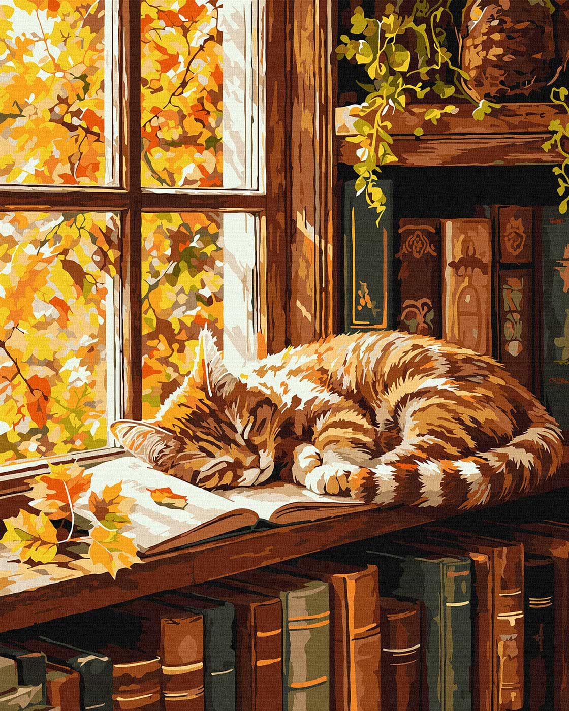 Картина за номерами Ideyka Кіт та книга 40х50 см (KHO6978)