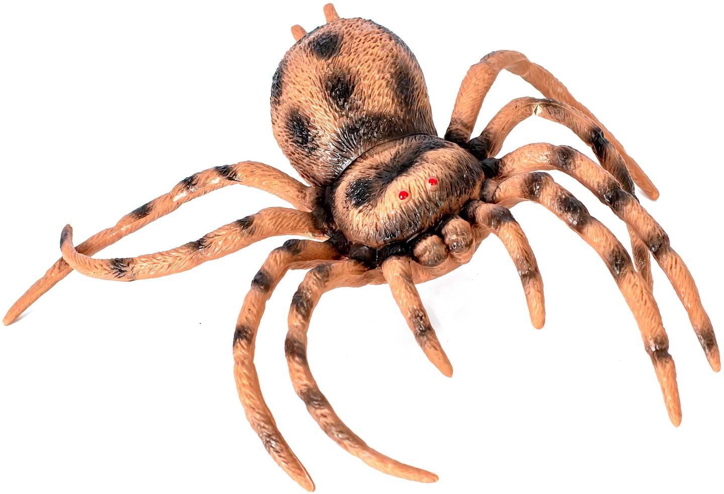 Фігурки тварини Kids Team Павук (ZY1827228)