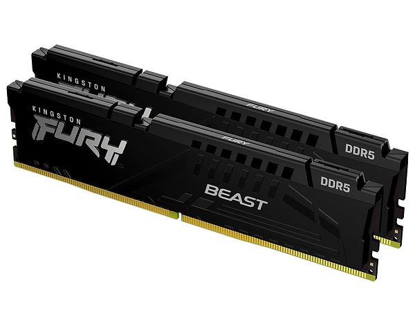 Фото - Память DDR Kingston 16GB DDR5 CL36 DIMM FURY Beast Black EXPO (KF560C36BBEK2-16)
