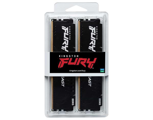 Фото - Память DDR Kingston 16GB DDR5 CL36 DIMM FURY Beast Black EXPO (KF560C36BBEK2-16)