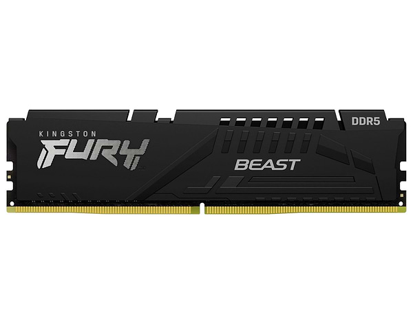Фото - Память DDR Kingston 16GB DDR5 CL34 DIMM FURY Beast Black EXPO (KF568C34BBE-16)