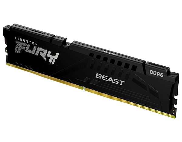 Фото - Память DDR Kingston 16GB DDR5 CL34 DIMM FURY Beast Black EXPO (KF568C34BBE-16)