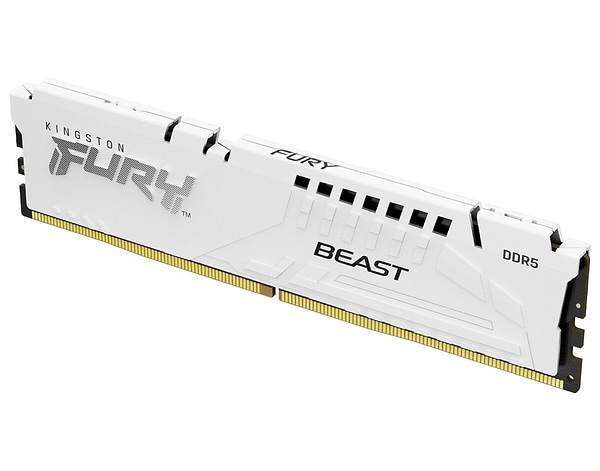 Фото - Память DDR Kingston 16GB DDR5 CL34 DIMM FURY Beast White EXPO (KF568C34BWE-16)