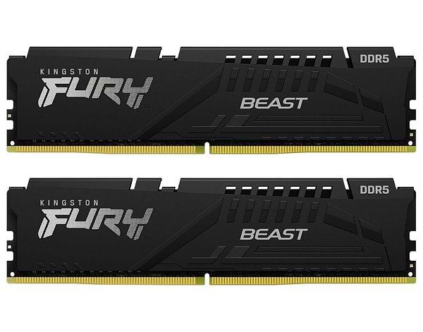 Фото - Память DDR Kingston 32GB DDR5 CL34 DIMM FURY Beast Black EXPO (KF568C34BBEK2-32)
