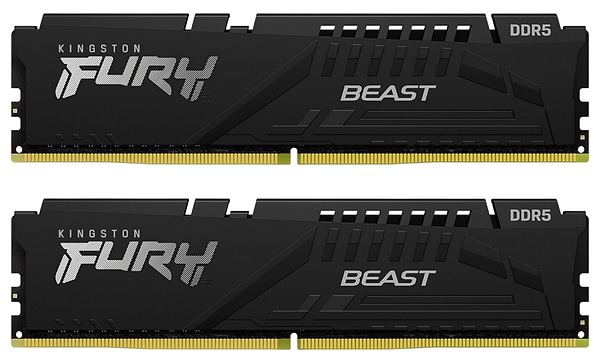 Фото - Память DDR Kingston 2x32 64GB DDR5 5600MHz FURY Beast Black EXPO (KF556C36BBE2K2-64)