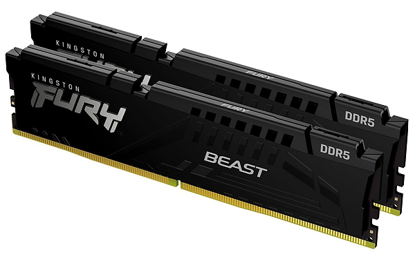Фото - Память DDR Kingston 2x32 64GB DDR5 5600MHz FURY Beast Black EXPO (KF556C36BBE2K2-64)