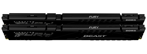 Фото - Память DDR Kingston 2x32 64GB DDR5 5600MHz FURY Beast Black EXPO (KF556C36BBE2K2-64)
