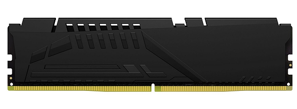 Фото - Память DDR Kingston 2x32 64GB DDR5 5600MHz FURY Beast Black EXPO (KF556C36BBE2K2-64)