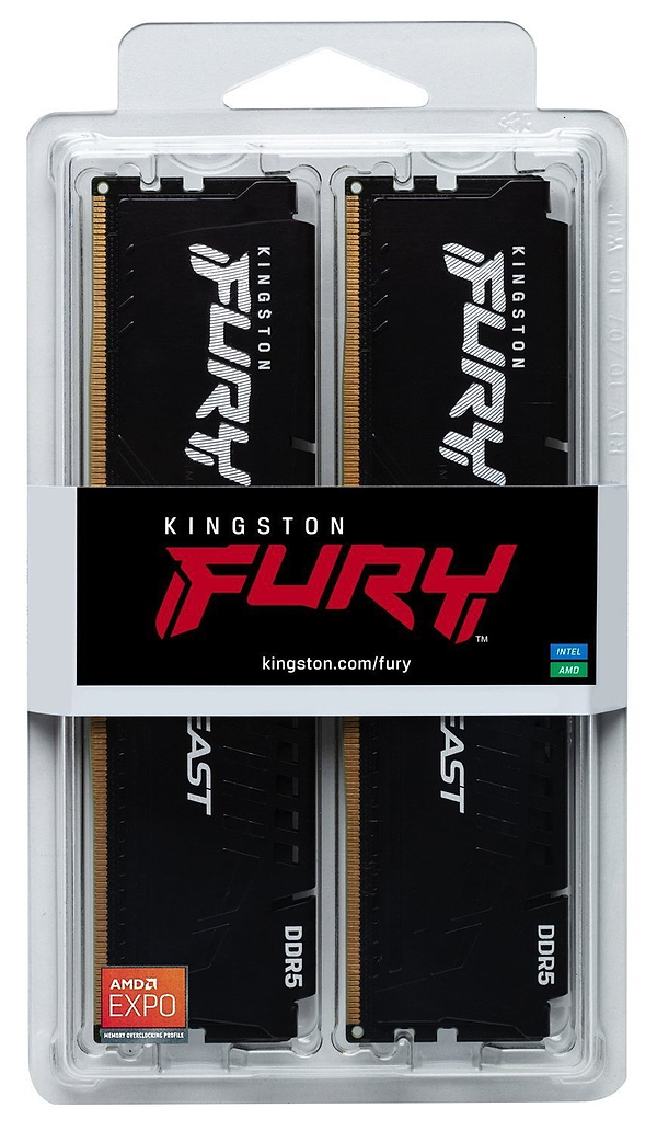 Фото - Память DDR Kingston 2x32 64GB DDR5 5600MHz FURY Beast Black EXPO (KF556C36BBE2K2-64)