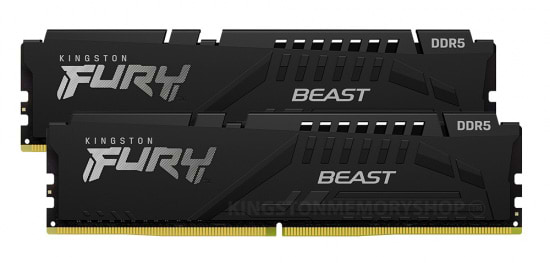 Фото - Память DDR Kingston DDR5 32GB 5600 MHz Fury Beast Black (KF556C36BBEK2-32)
