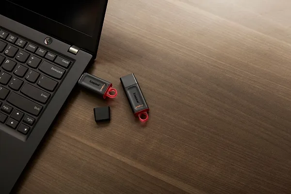 Фото - Флеш USB Kingston DataTraveler Exodia 256GB USB 3.2 Black-Pink (DTX/256GB)
