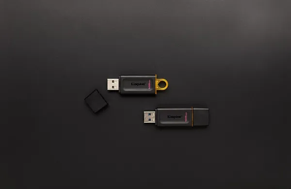 Фото - Флеш USB Kingston DataTraveler Exodia 256GB USB 3.2 Black-Pink (DTX/256GB)