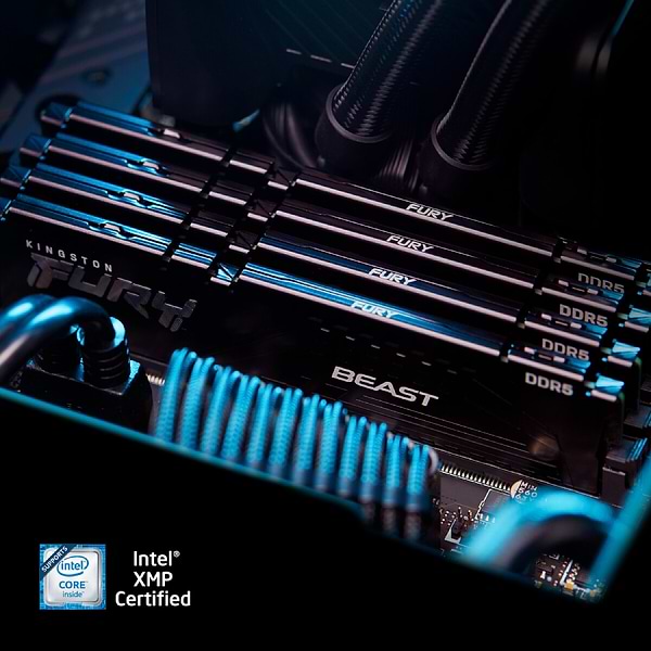 Фото - Память DDR Kingston 32GB 6000MT/s DDR5 CL36 DIMM FURY Beast Black (KF560C36BBE2-32)