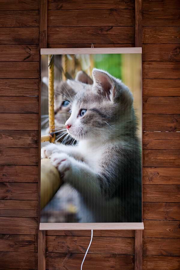 Фото - Настінний обігрівач Trio Кошенята (400 вт, 1 х 0,57 м)