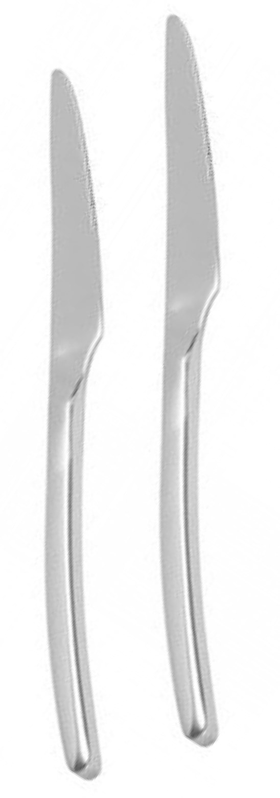 Набір ножів столових Krauff 29-178-003 Venice 2пр.