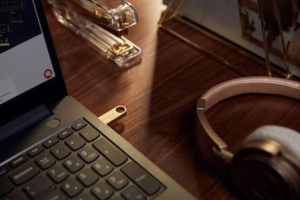 Фото - Флеш USB Kingston DT SE9 G3 256GB USB 3.2 Gold (DTSE9G3/256GB)