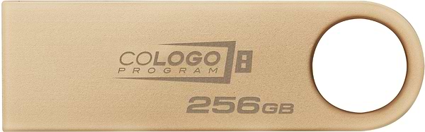 Фото - Флеш USB Kingston DT SE9 G3 256GB USB 3.2 Gold (DTSE9G3/256GB)