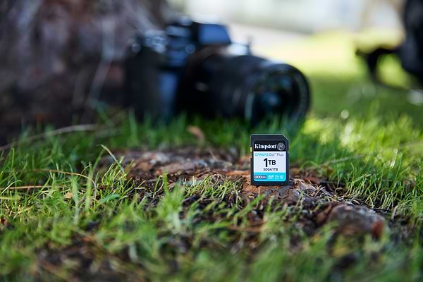 Фото - Карта памяти Kingston SDXC 64GB Canvas Go! Plus G4 Class 10 UHS-I U3 V30 (SDG4/64GB)