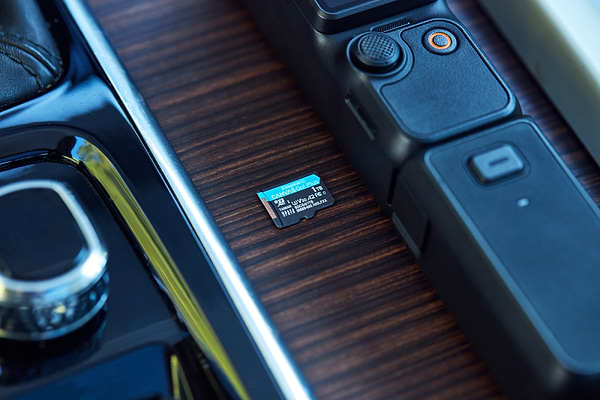 Фото - Карта памяти Kingston MicroSDXC 64GB Canvas Go! Plus G4 Class 10 UHS-I U3 V30 A2 + SD-adapter (SDCG4/64GB)