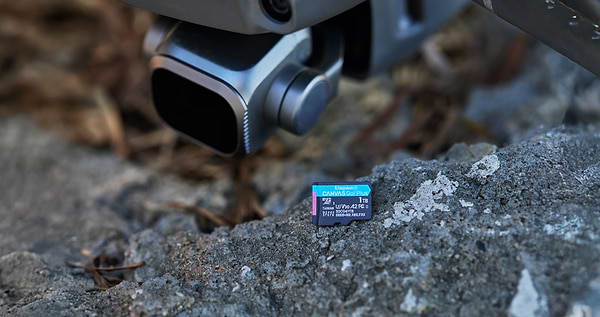 Фото - Карта памяти Kingston MicroSDXC 64GB Canvas Go! Plus G4 Class 10 UHS-I U3 V30 A2 (SDCG4/64GBSP)