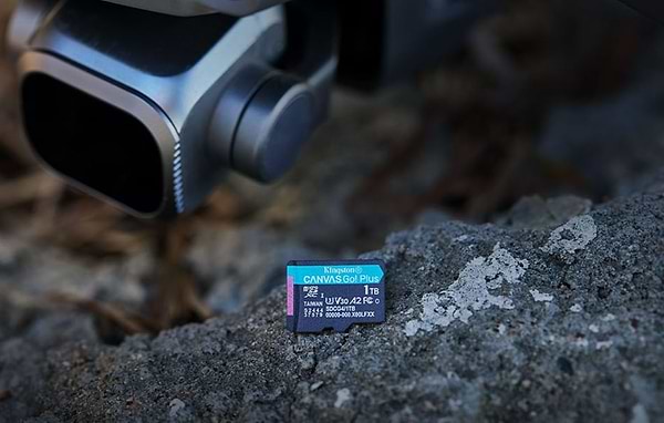 Фото - Карта памяти Kingston MicroSDXC 1TB Canvas Go! Plus G4 Class 10 UHS-I U3 V30 A2 (SDCG4/1TBSP)