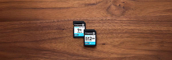 Фото - Карта памяти Kingston SDXC 128GB Canvas Go! Plus G4 Class 10 UHS-I U3 V30 (SDG4/128GB)