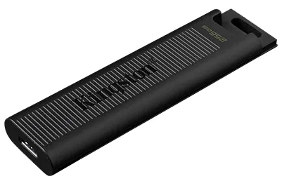 Фото - Флеш USB Kingston 256GB USB3.2 Gen 2 DataTraveler Max (DTMAX/256GB)
