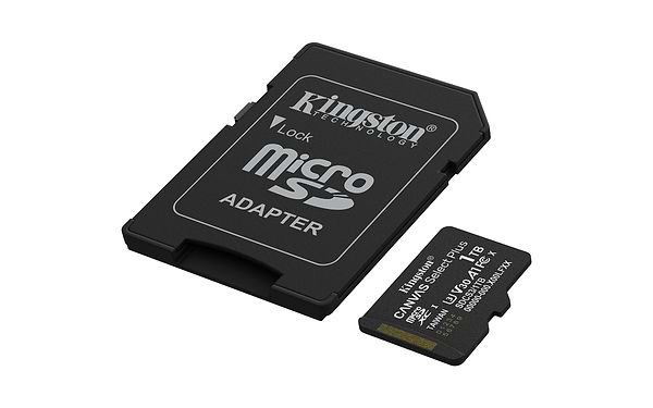 Фото - Карта пам'яті Kingston 1TB microSDXC Canvas Select Plus Gen3 (SDCS3/1TB)